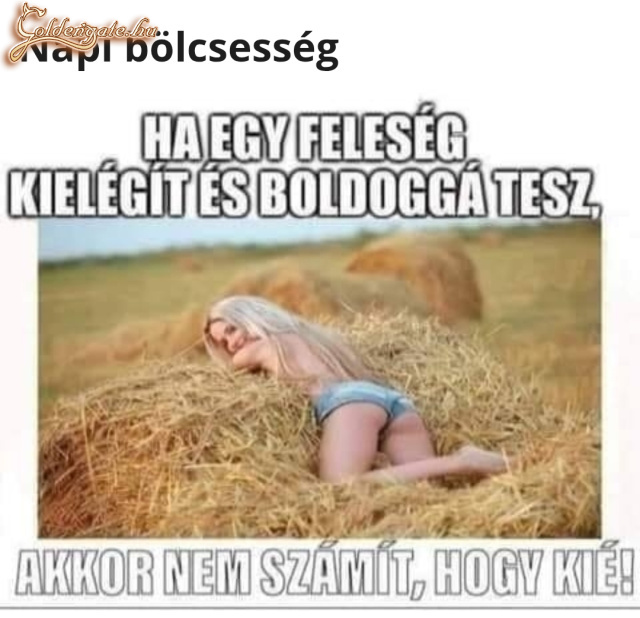 Napi bölcsesség