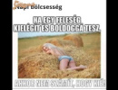 Napi bölcsesség