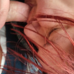 Szereti Ancsa. - 17. kép