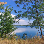 Nyéki nudin - 11. kép