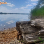 Nyéki nudin - 12. kép