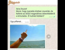 Kimutatás elküldve