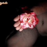 Az első sorozat - 9. kép