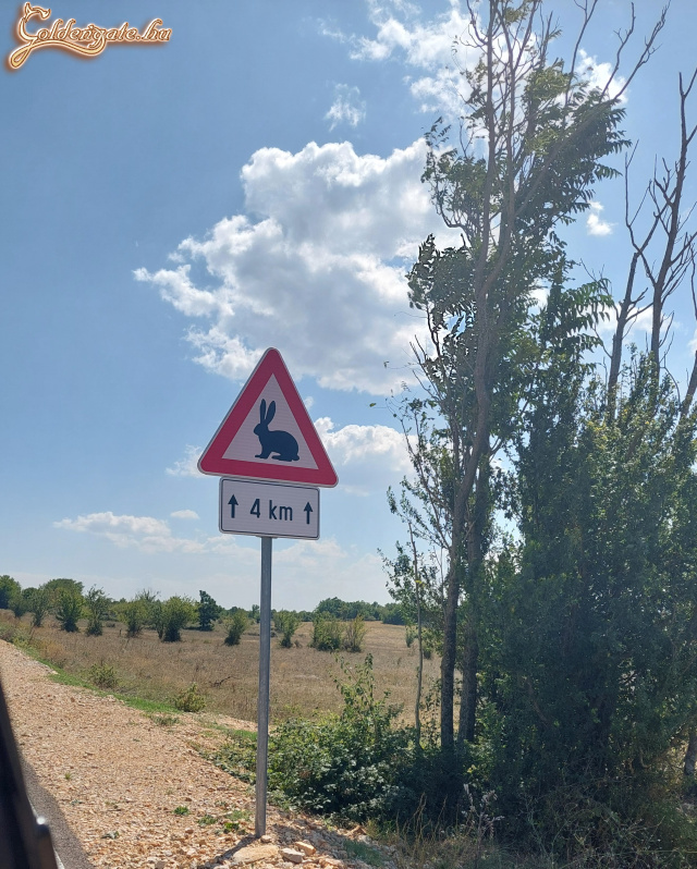 veszélyes út...
