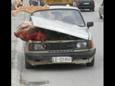 ha nem fér be a csomagtartóba