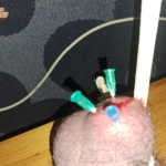 Farok tortura - 6. kép