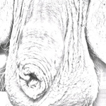 Gyorstüzelő  - 11. kép