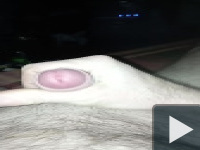 masturbation