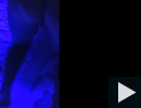 UV-re hangolódva 2 -vs- 4kéz4láb