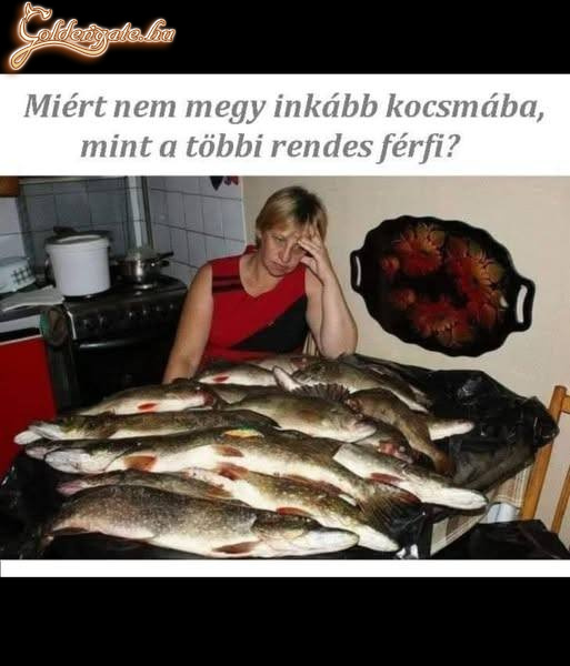 Hát?????