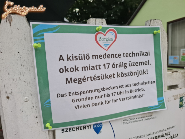 Megirta a tuttit