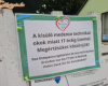 Megirta a tuttit