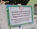 Megirta a tuttit