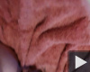 Dildo 