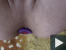 Lila plug