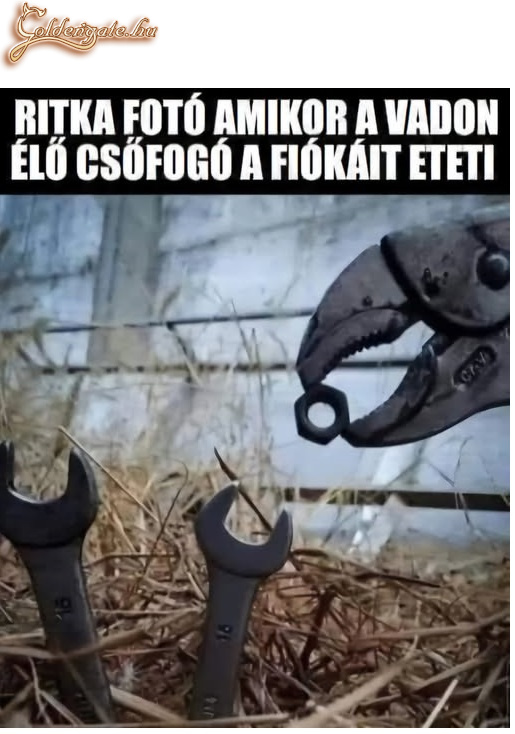 !!!!