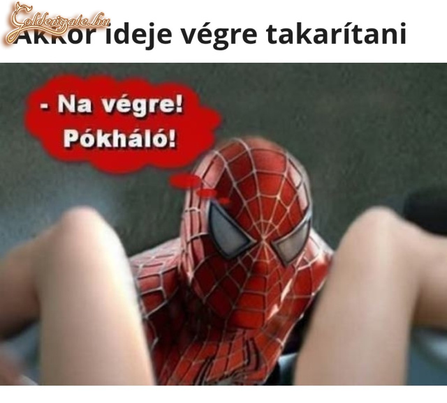 Pókháló