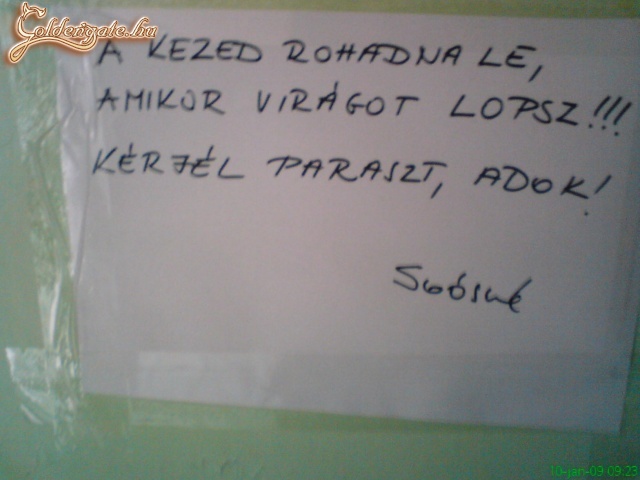 őszinte házinéni