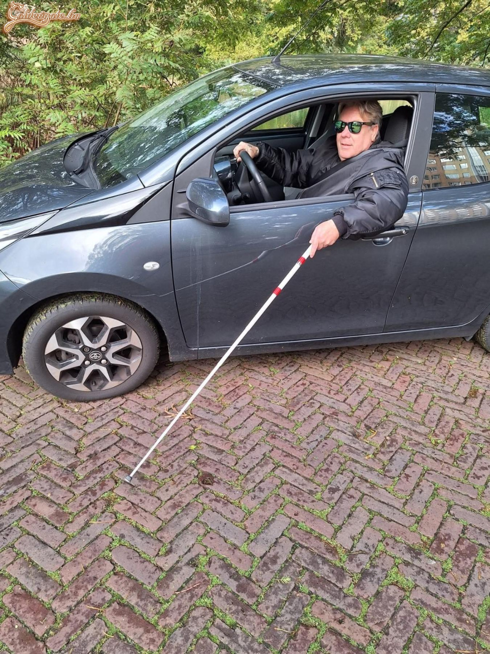 Frissen a vizsga után