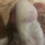 Első proba - 8. kép