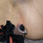 Tangás móka  - 9. kép