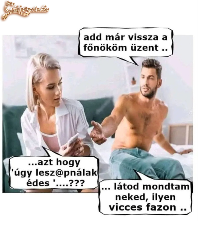 A főnök 