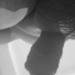 Pár friss kép! - 11. kép