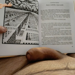 Együttrezgés ragyogása... - 7. kép