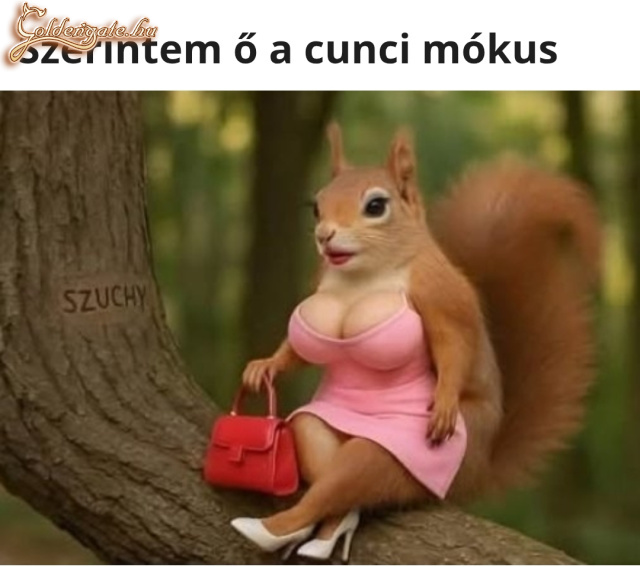 Cuncimókus