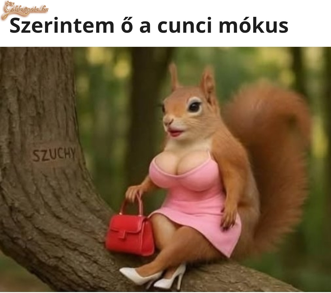 Cuncimókus