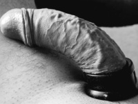 Rég  töltöttem fel képet  de már  hiányzott....