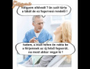 Fogorvos.....