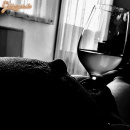 Feketén Fehéren  - 2. kép