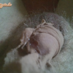 Ez vagyok én, a feleségem sajnálatára! - 6. kép