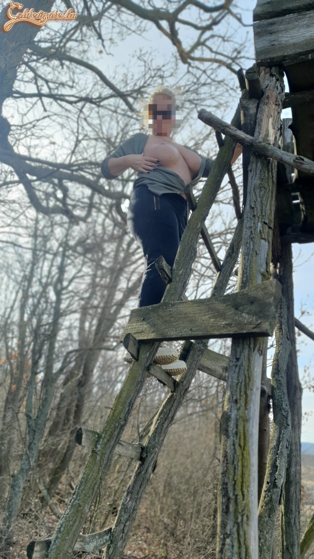 Kellemes kirándulás - 17. kép