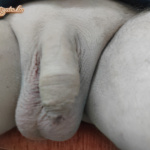 Esti ébredezés - 1. kép