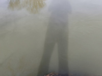 Tavaszi séta és otthoni játék 