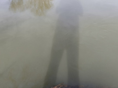 Tavaszi séta és otthoni játék 