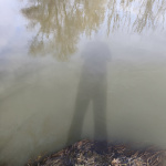 Tavaszi séta és otthoni játék  - 1. kép