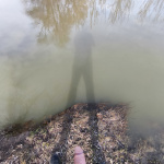 Tavaszi séta és otthoni játék  - 2. kép