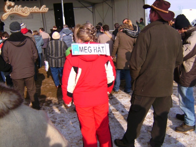 A sex kedvelő