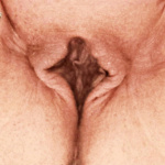 Nyíló szirmaim :-) - 7. kép