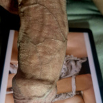 Tribute valogatas - 11. kép