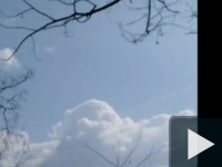 Józsi gazda videója 