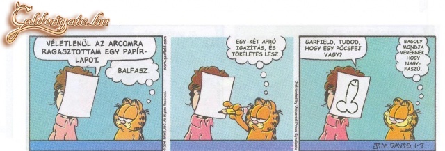 Garfield kicsit másképp