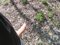 Hosszú hétvégei biciklizés 