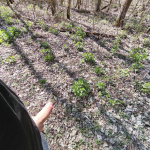 Hosszú hétvégei biciklizés  - 3. kép