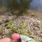 Egy kis napozás a vízparton  - 8. kép