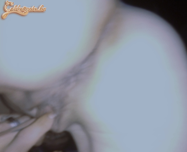 Néha...  - 26. kép