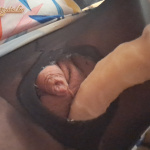 Szeretem a női ruhákat - 10. kép